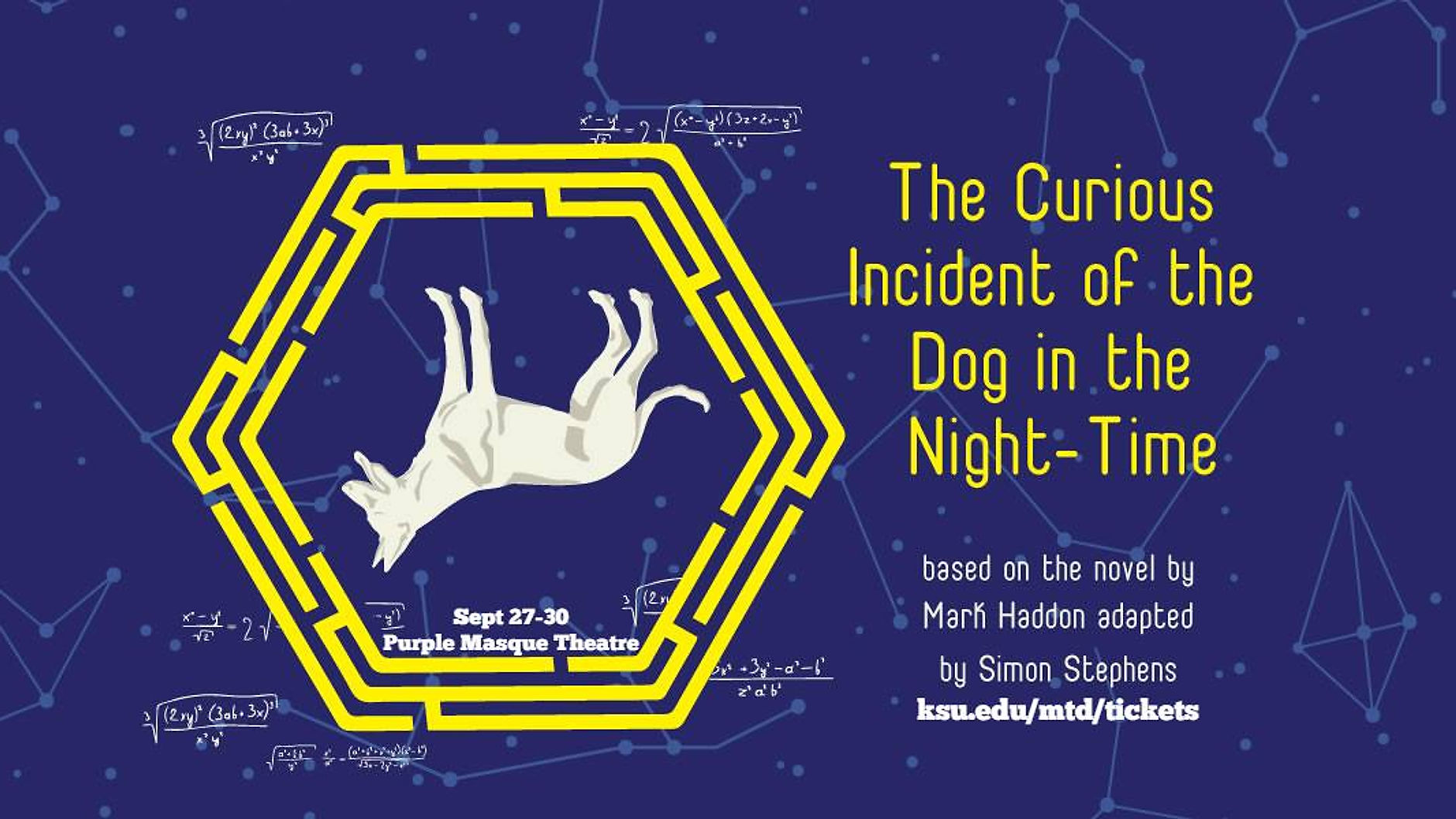 Interview: The Curious Incident of the Dog in the Night Time
